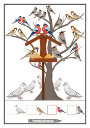 karta pracy karmimy ptaki liczenie matematyka