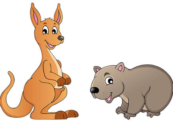 Zwierzęta Australii Kangur Koala Dziobak Kolczatka Emu