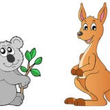 Zwierzęta Australii Kangur Koala Dziobak Kolczatka Emu