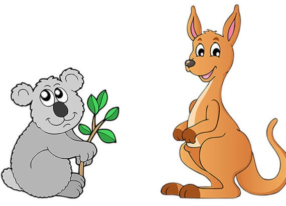 Zwierzęta Australii Kangur Koala Dziobak Kolczatka Emu