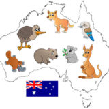 Podróż Samolot Karta pokładowa Australia koala kangur wombat dziobak