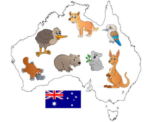 Podróż Samolot Karta pokładowa Australia koala kangur wombat dziobak