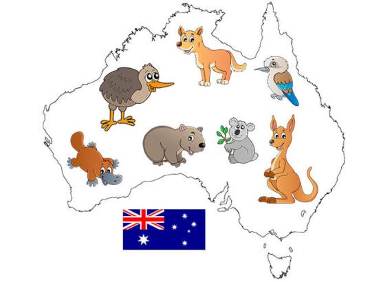 Podróż Samolot Karta pokładowa Australia koala kangur wombat dziobak