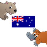 Australia flaga hymn zwierzęta kangur koala memory domino