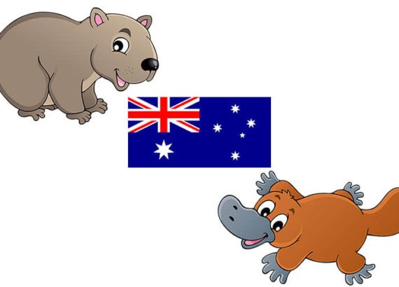 Australia flaga hymn zwierzęta kangur koala memory domino