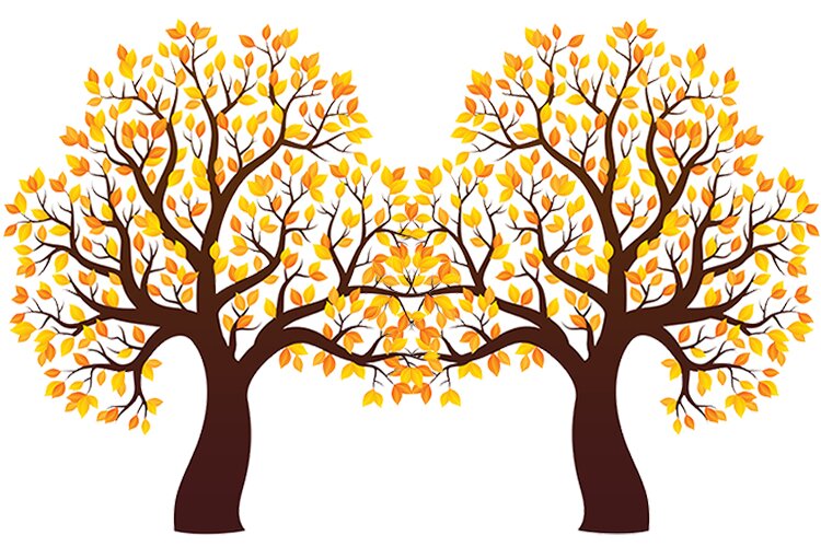Kolorowa jesień – Dzieci Starsze – Jesienne kolory