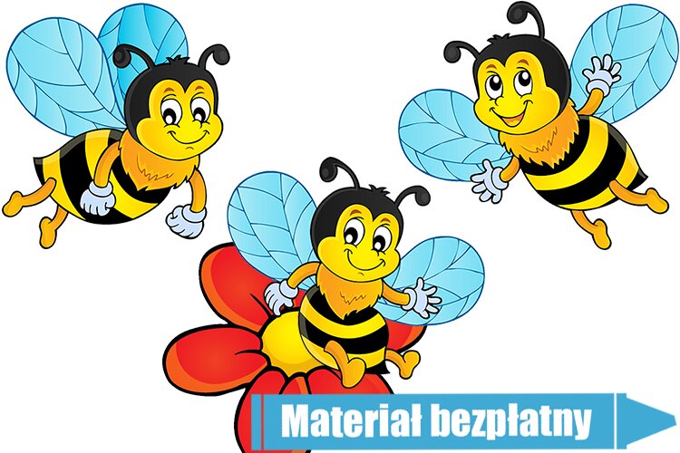 Kraina miodem płynąca – Dzieci Młodsze – Ciekawostki o pszczołach