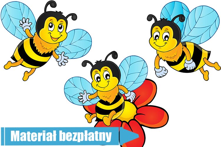 Kraina miodem płynąca – Dzieci Starsze – Ciekawostki o pszczołach